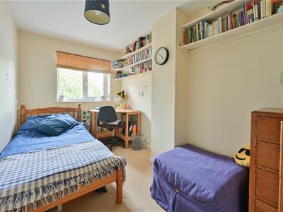 Picture 7